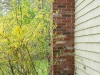 cleanout_door_5