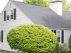 chimneycap_1